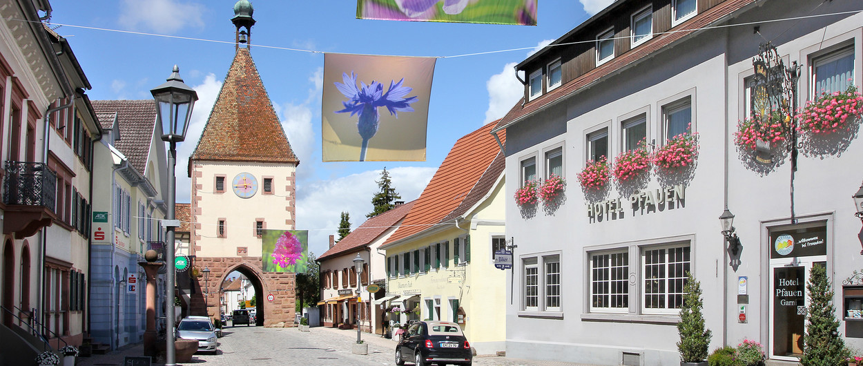 Anreise und Lage des Hotels garni Pfauen in Endingen am